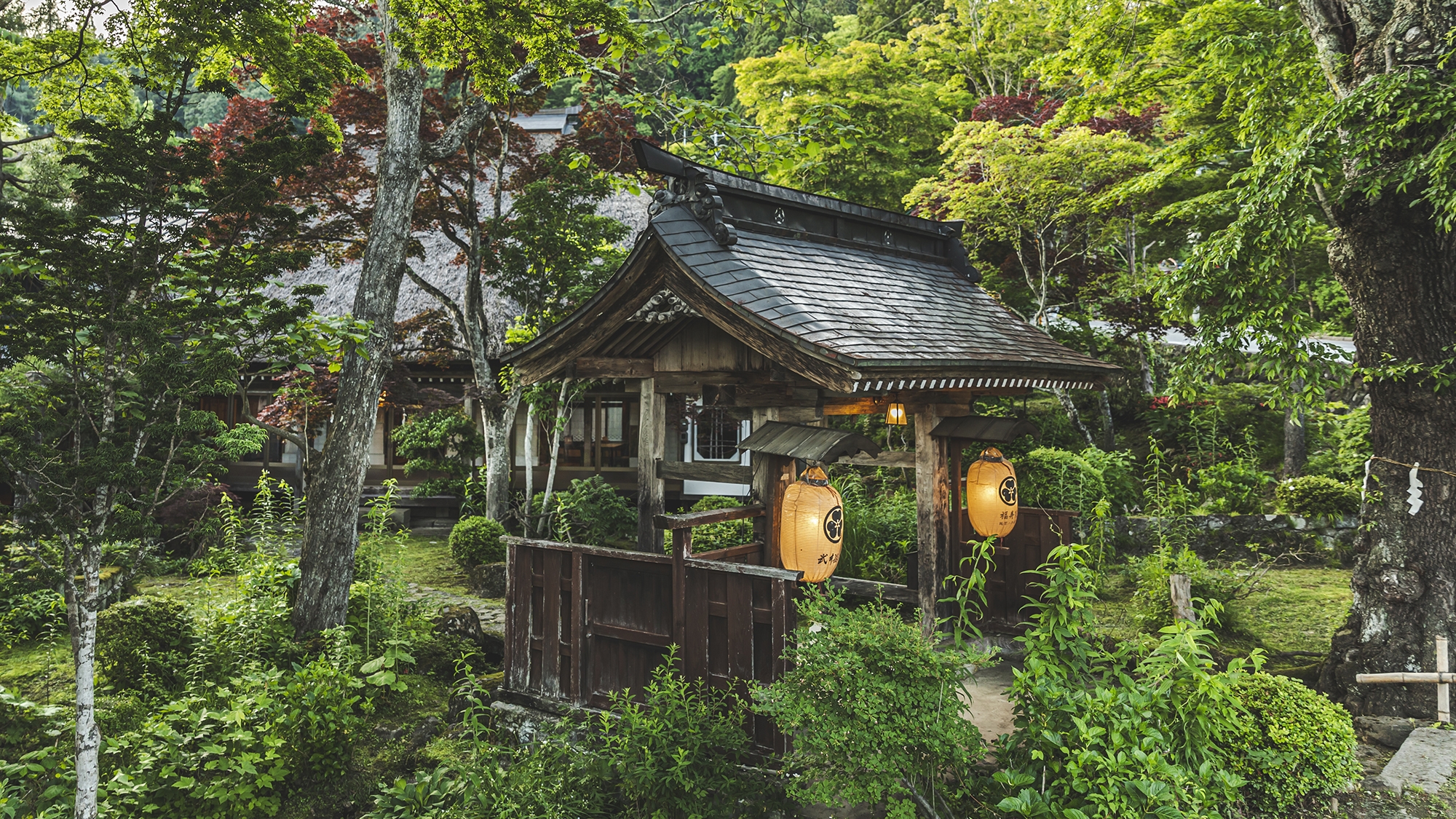 武井旅館