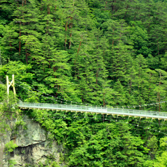 瀬戸合峡・渡らっしゃい吊橋