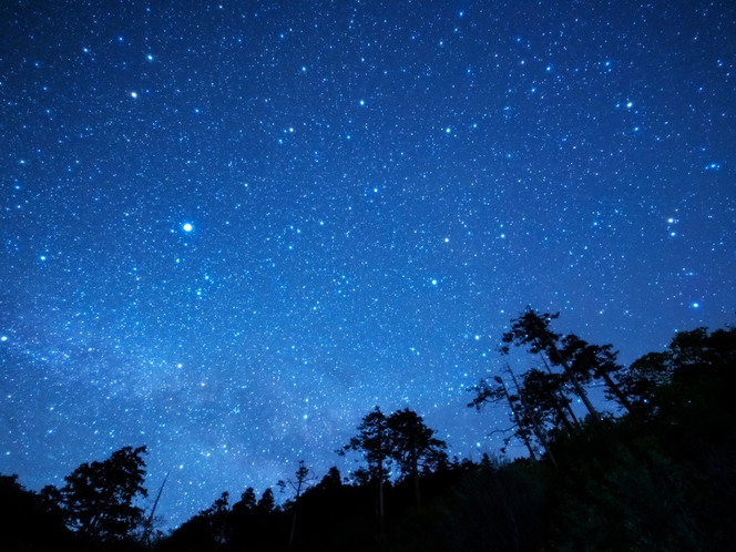 満点の星空☆彡天体観測もお楽しみください