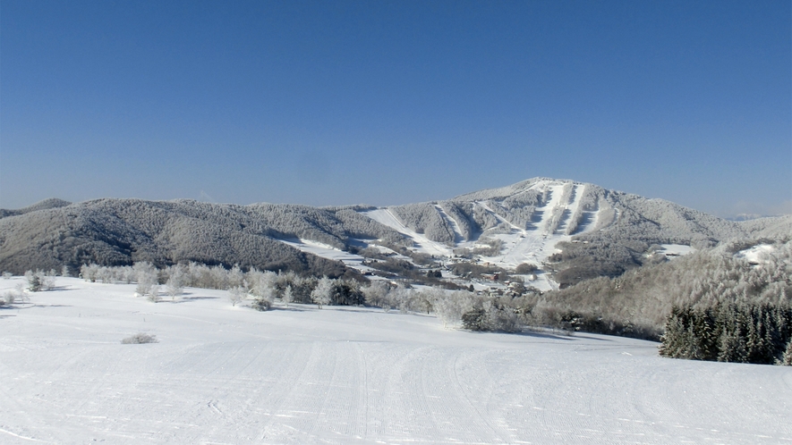 *菅平高原（冬）ゲレンデがいくつもあり、ウインタースポーツを思い切り楽しめます！