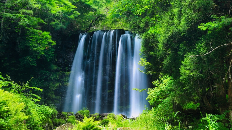 *唐沢の滝（お車約2分）滝つぼのそばまで近づくことができ、夏場でもひんやりした空気に癒されます。
