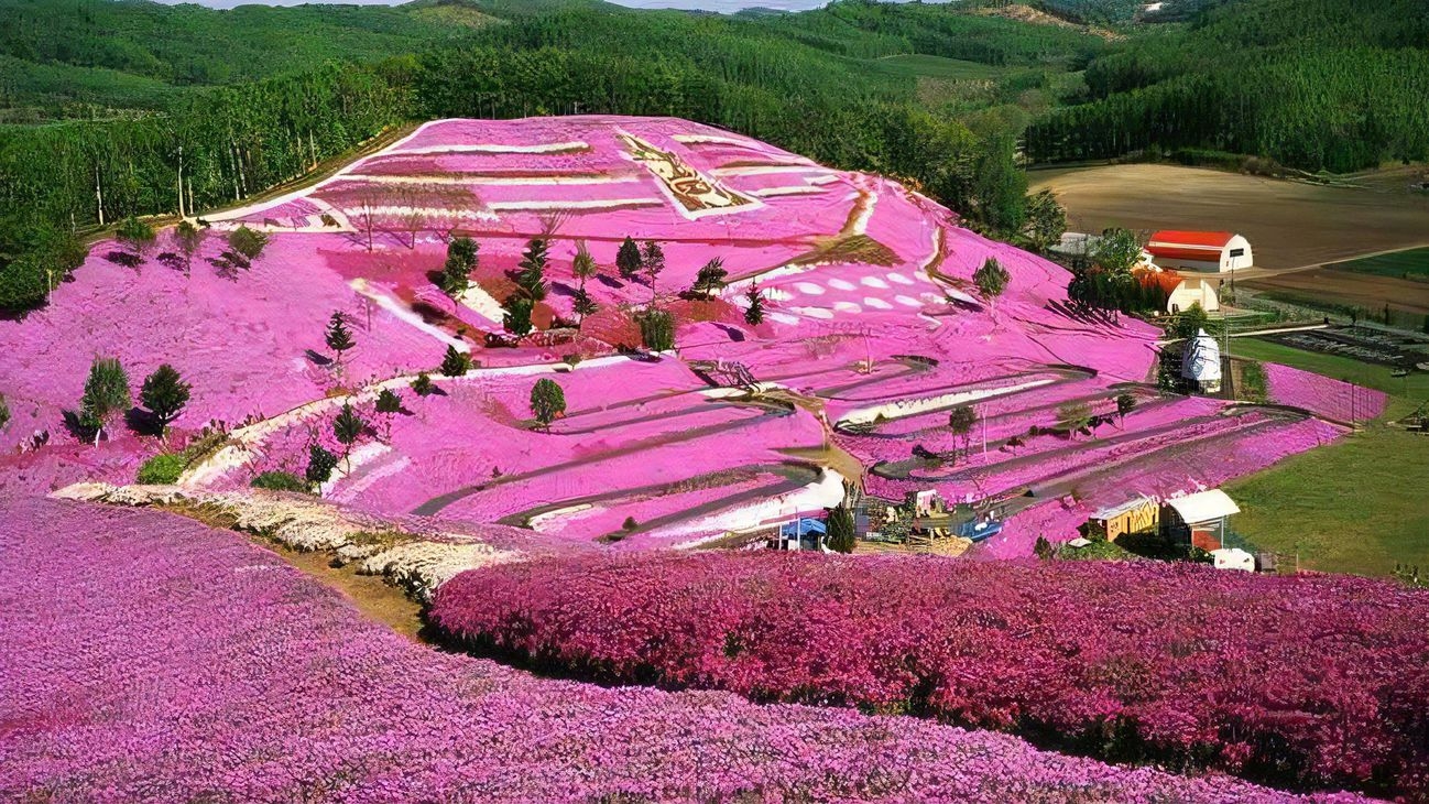 【オホーツク花めぐり】入場券半券持参で館内利用券プレゼント！ドリンク1杯付き／海鮮メイン付バイキング