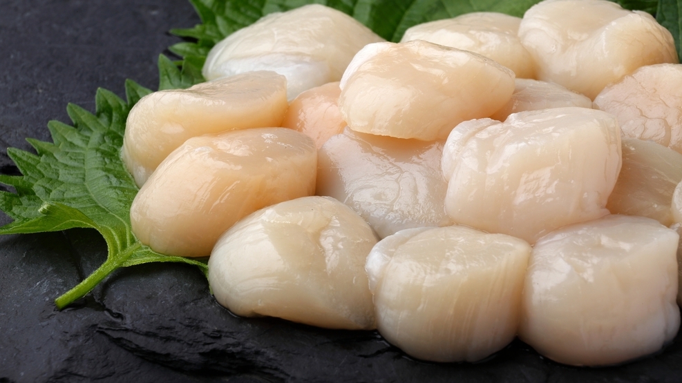 【鶴雅70周年】貝付きホタテ約2kg＆生玉ホタテ約300gお土産付き／海鮮メイン付バイキング