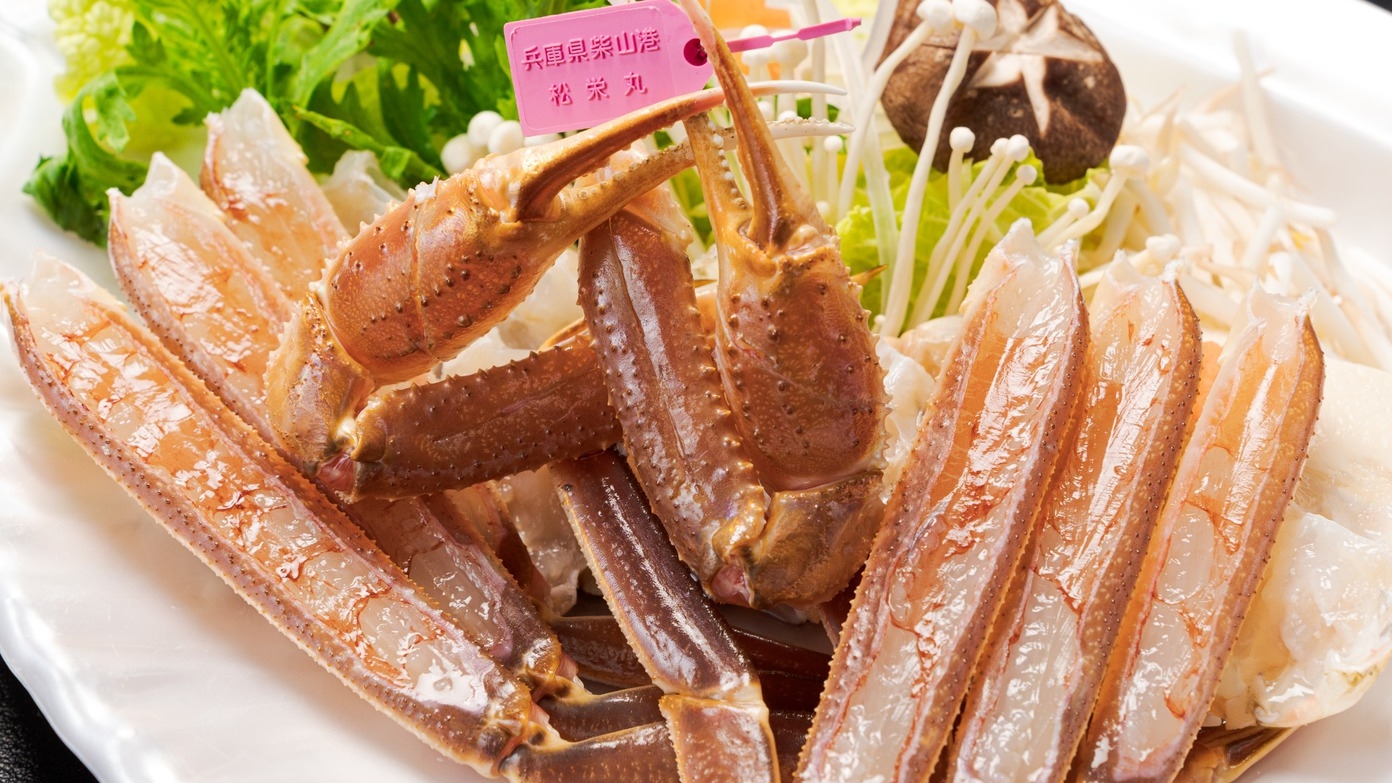 【日帰り】【柴山ガニスペシャルコース】最高級の柴山ガニを食べてみたい方にオススメ！