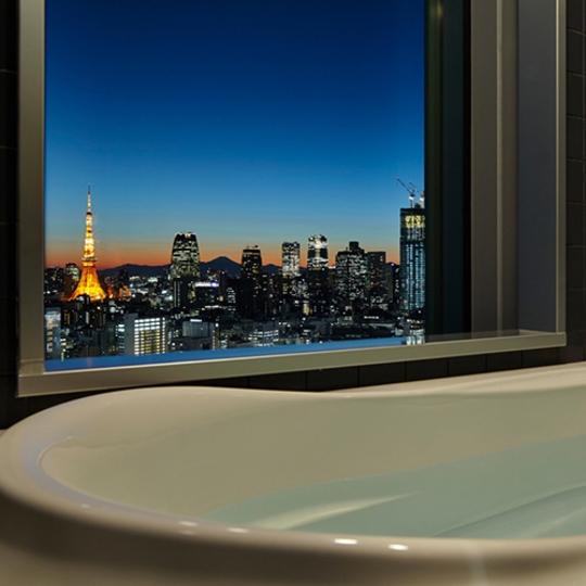 Mitsui Garden Hotel Ginza Premier