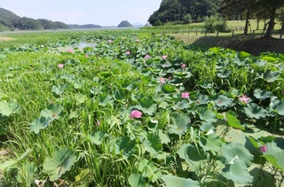 鳥取の自然