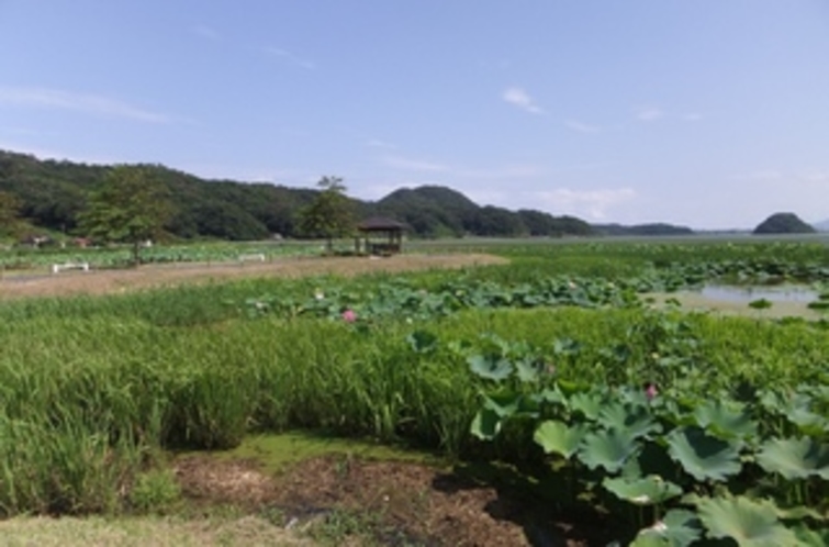 鳥取の自然２