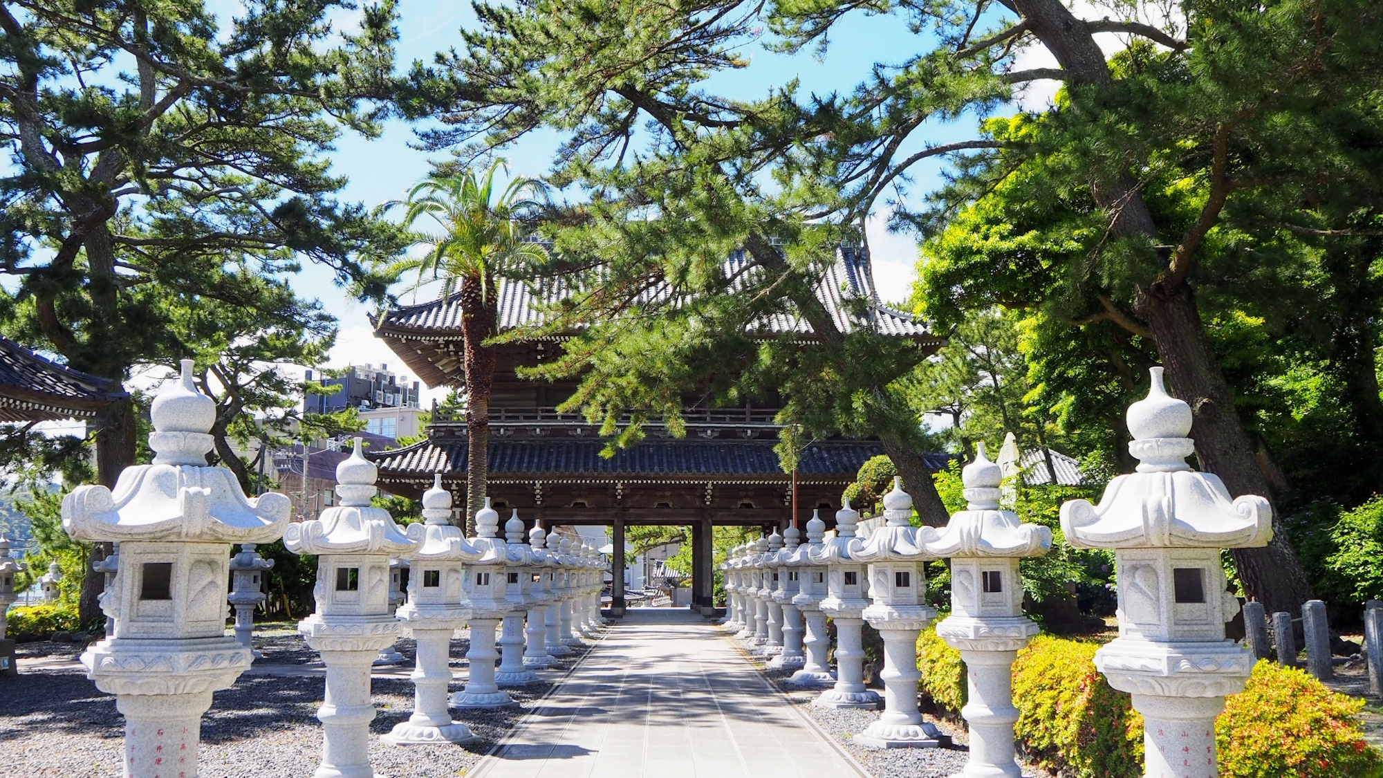 【誕生寺】日蓮上人ゆかりのお寺（当館から車で20分）