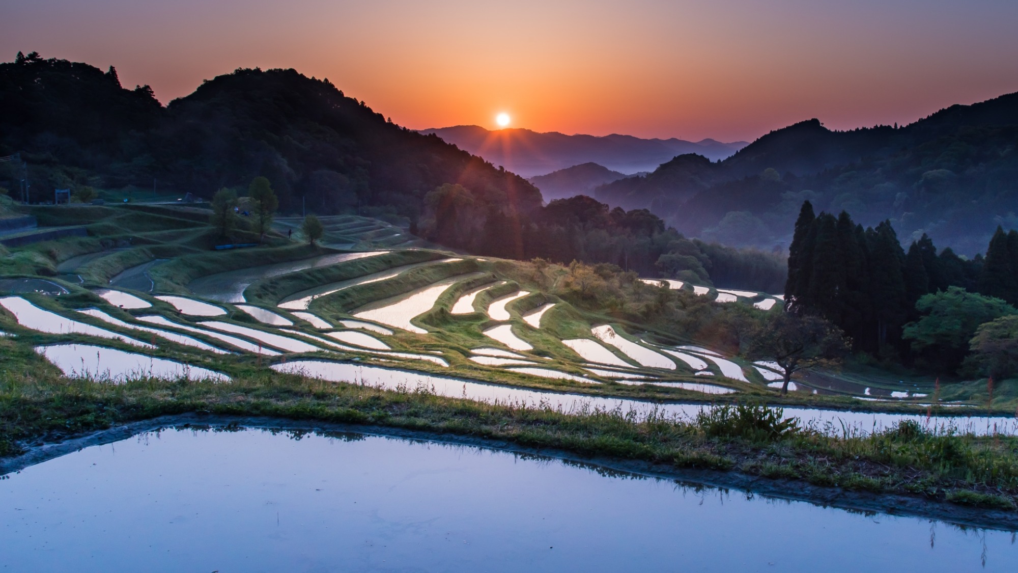 【棚田の朝の風景】