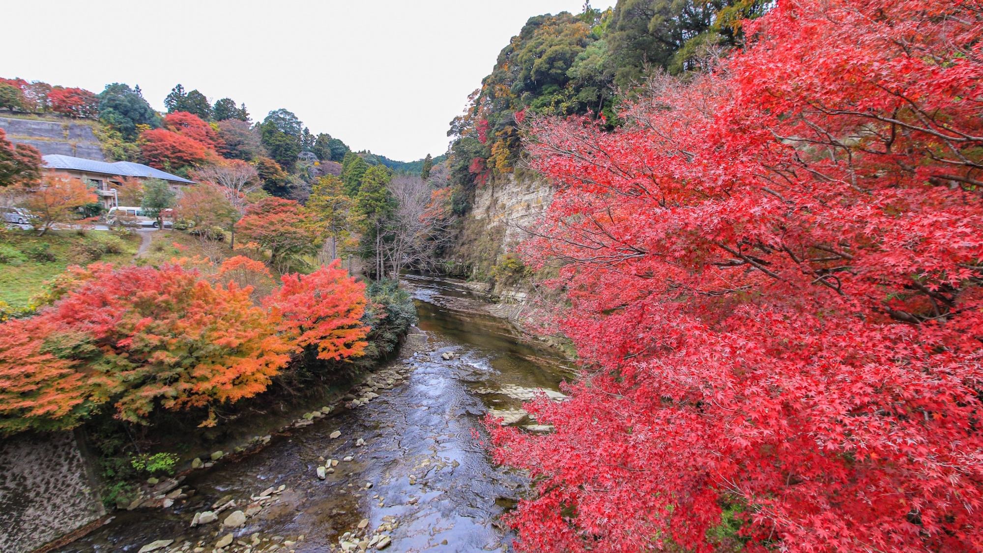 【養老渓谷の紅葉】粟又の滝周辺の遊歩道や、筒森もみじ谷が代表的な紅葉スポットです。