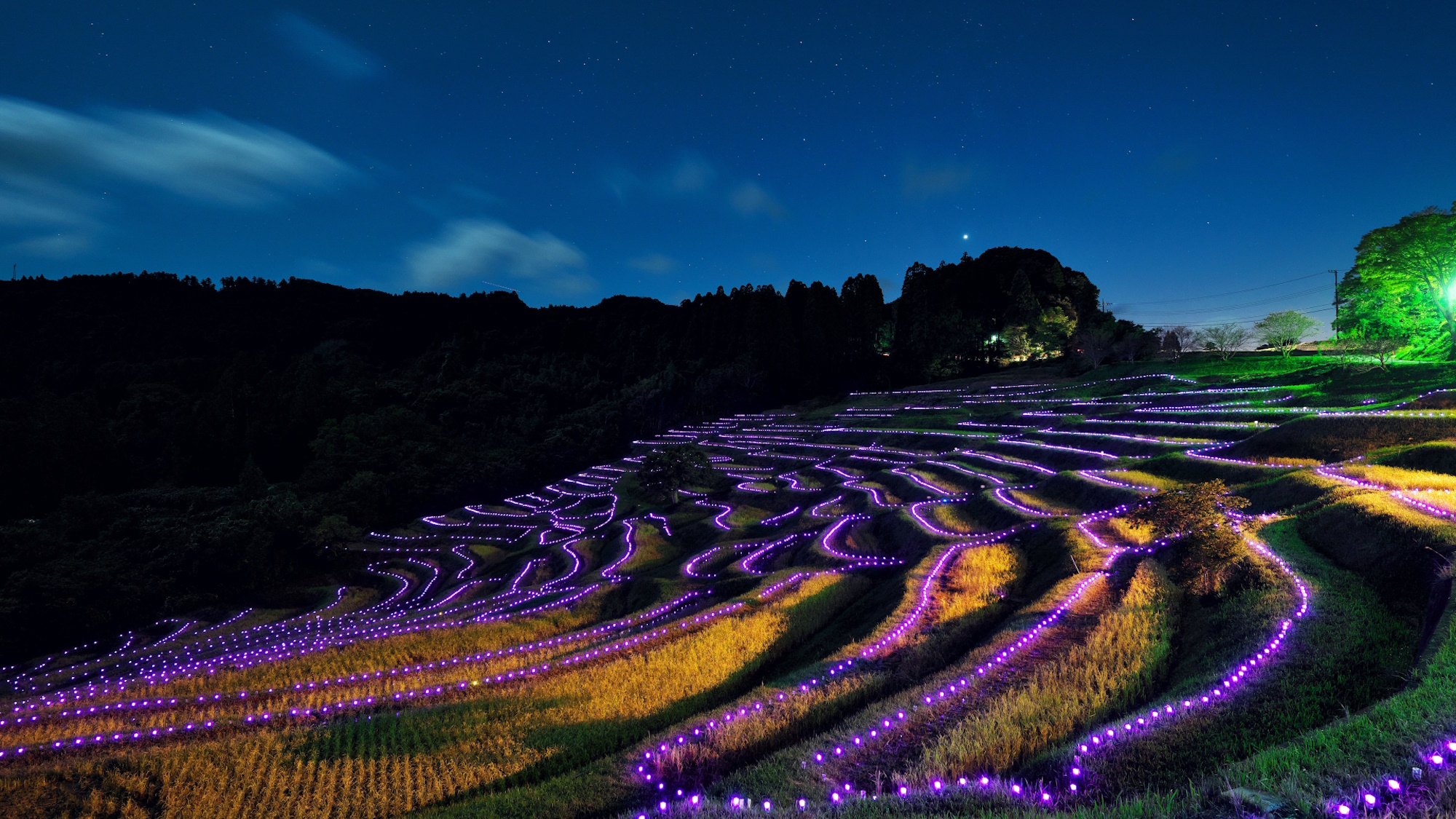 【棚田のあかり】（10月後半～1月中旬）日本の棚田百選にも選ばれたLEDライトのライトアップイベント