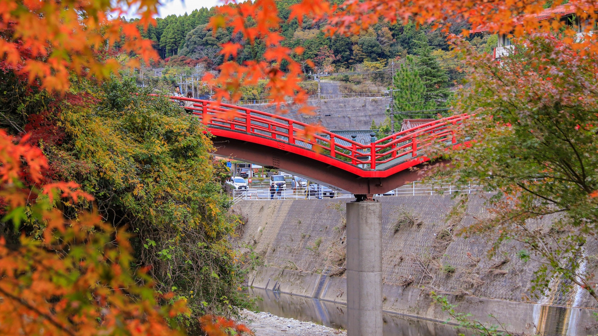 【養老渓谷の紅葉】粟又の滝周辺の遊歩道や、筒森もみじ谷が代表的な紅葉スポットです。
