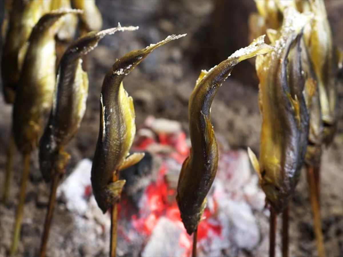 ☆渓流釣りで自然を満喫♪　夕食のBBQで、自分の釣った魚も味わっちゃおう！！