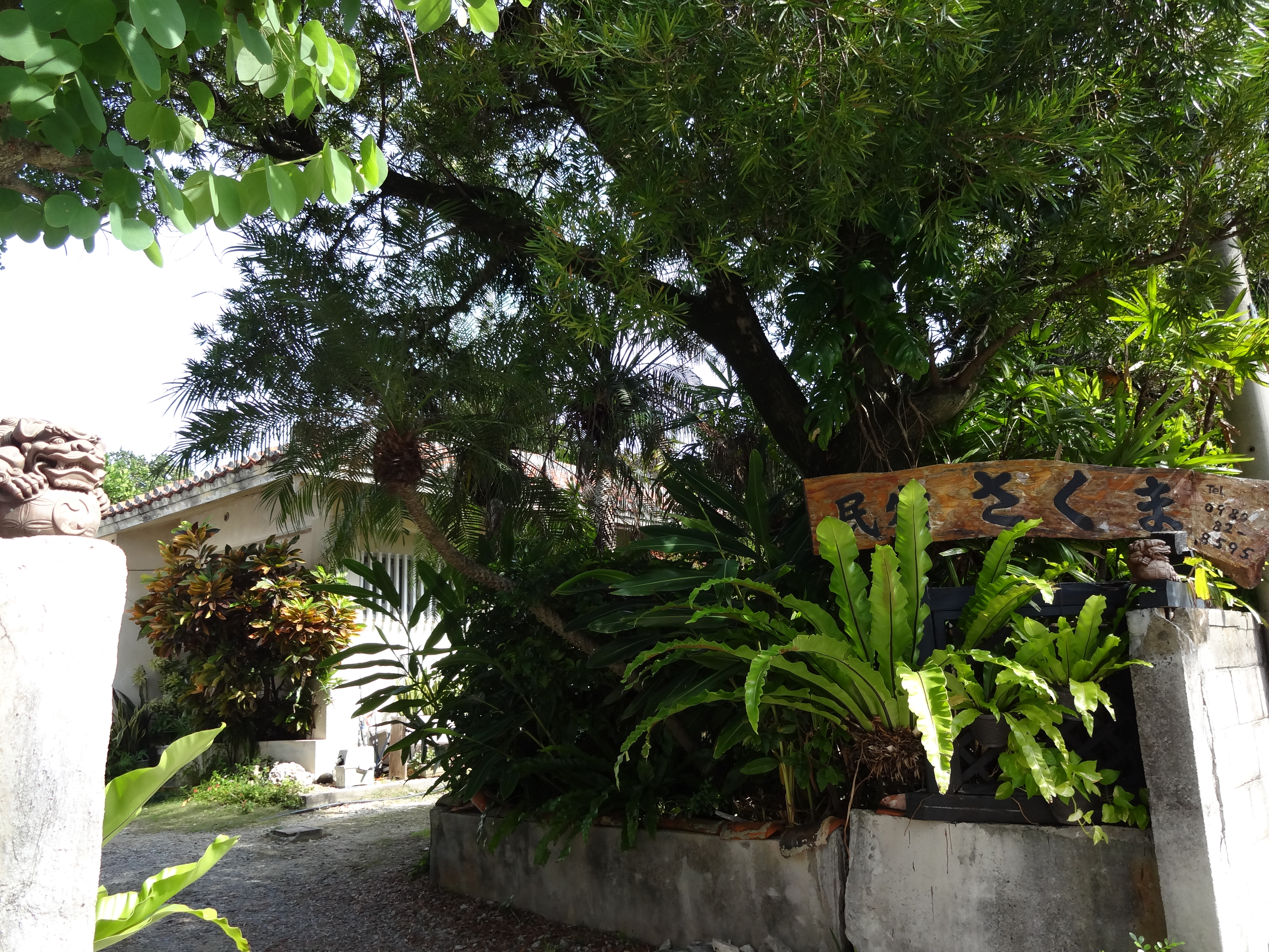 保存版 タイプ別で教える石垣島のオススメ 民宿 総まとめ21選 石垣島pr情報局 保存版 タイプ別で教える石垣島のオススメ 民宿 総まとめ21選 石垣島pr情報局