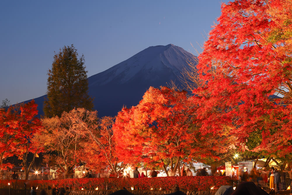 河口湖　紅葉