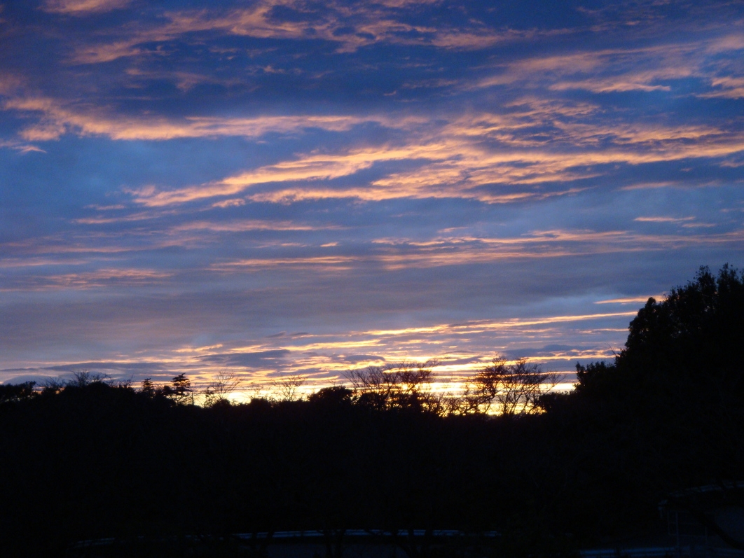 ◇直前予約でお得に泊まれる1泊2食「直割プラン」（2025年7月〜）
