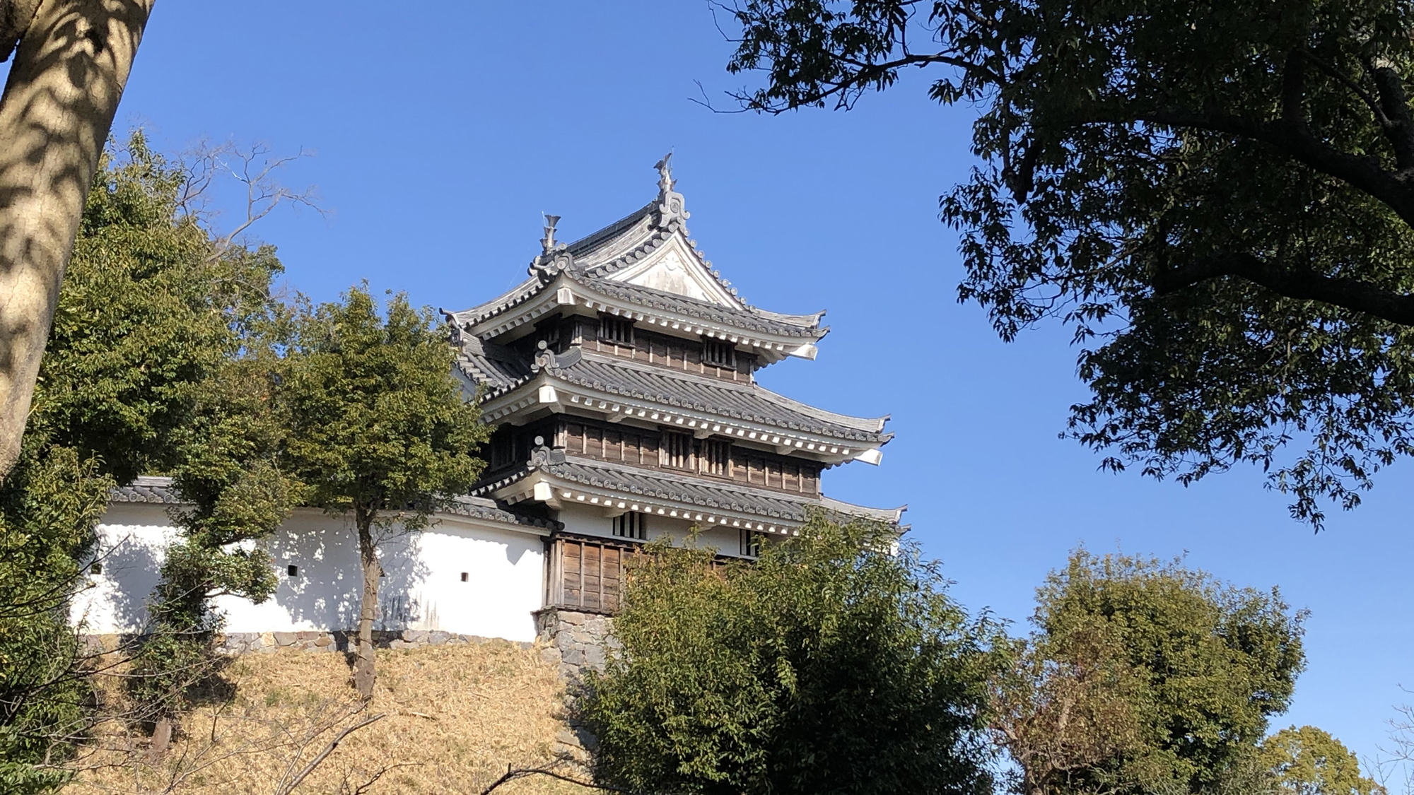 ◆西尾城　鎌倉時代初期に足利義氏が築城した西条城が始まりと伝えられています。