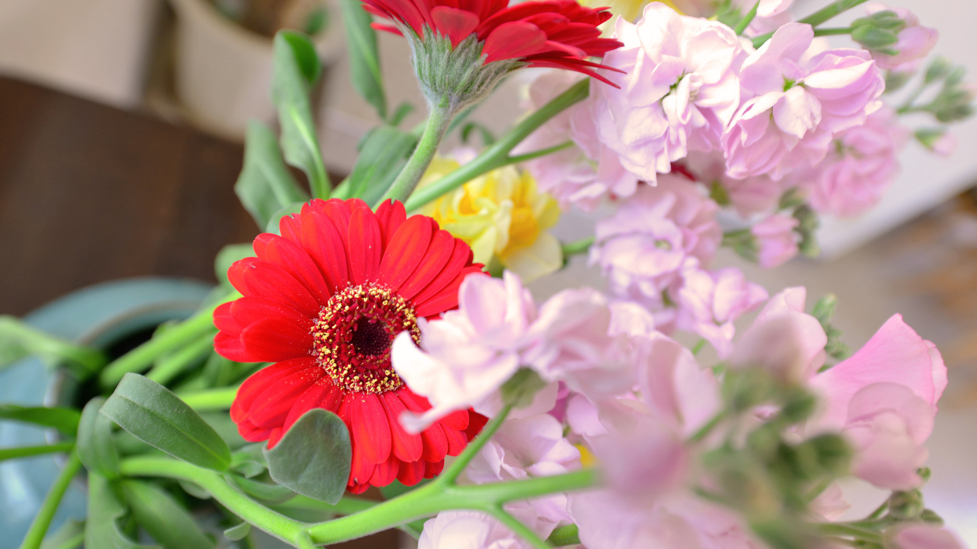 *【館内一例】食堂には季節に合わせて様々なお花を飾っています。