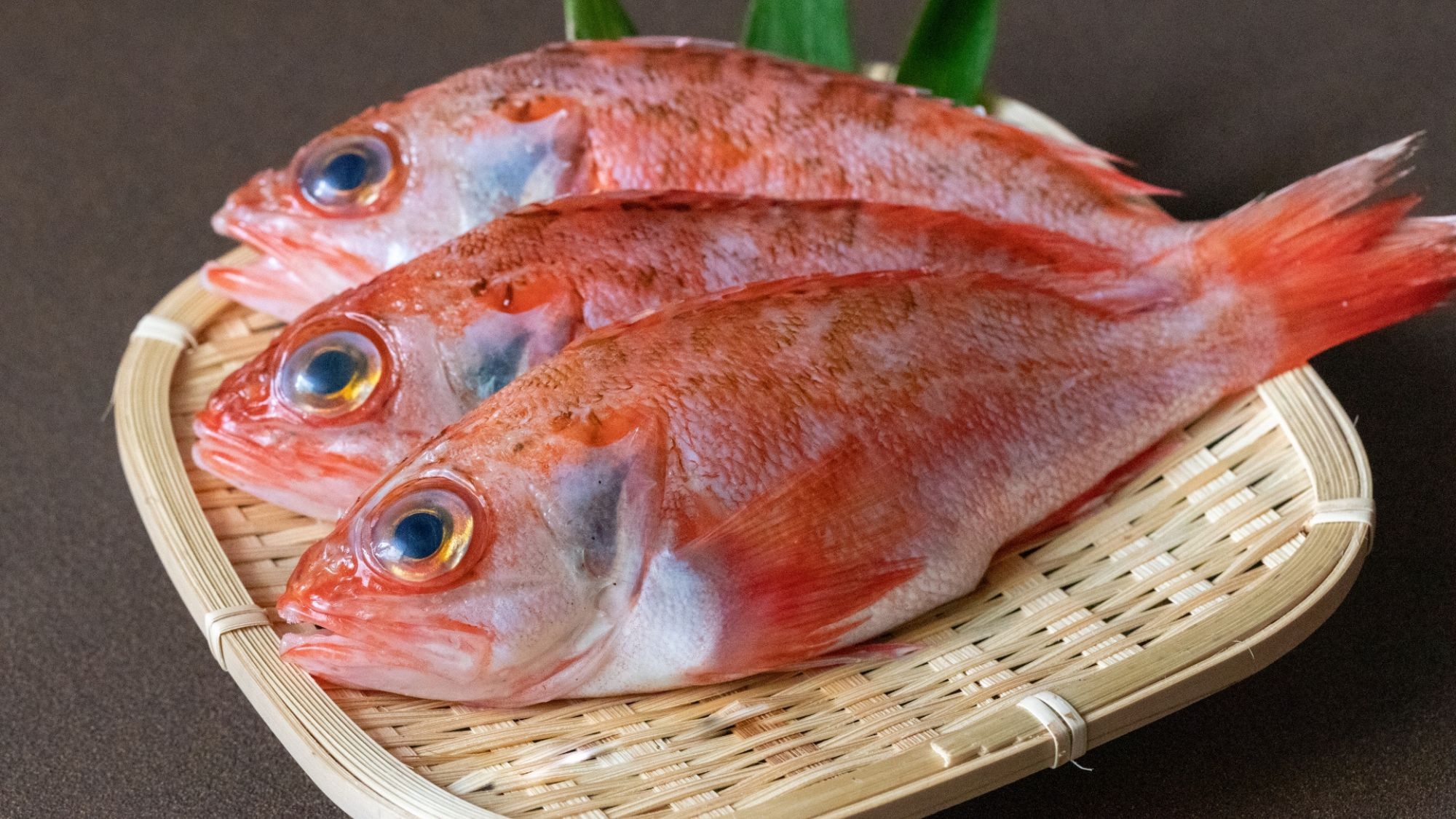【期間限定】お食事を無料アップグレード！但馬4大グルメが詰まった《特上会席》をお得に堪能〈1泊2食〉