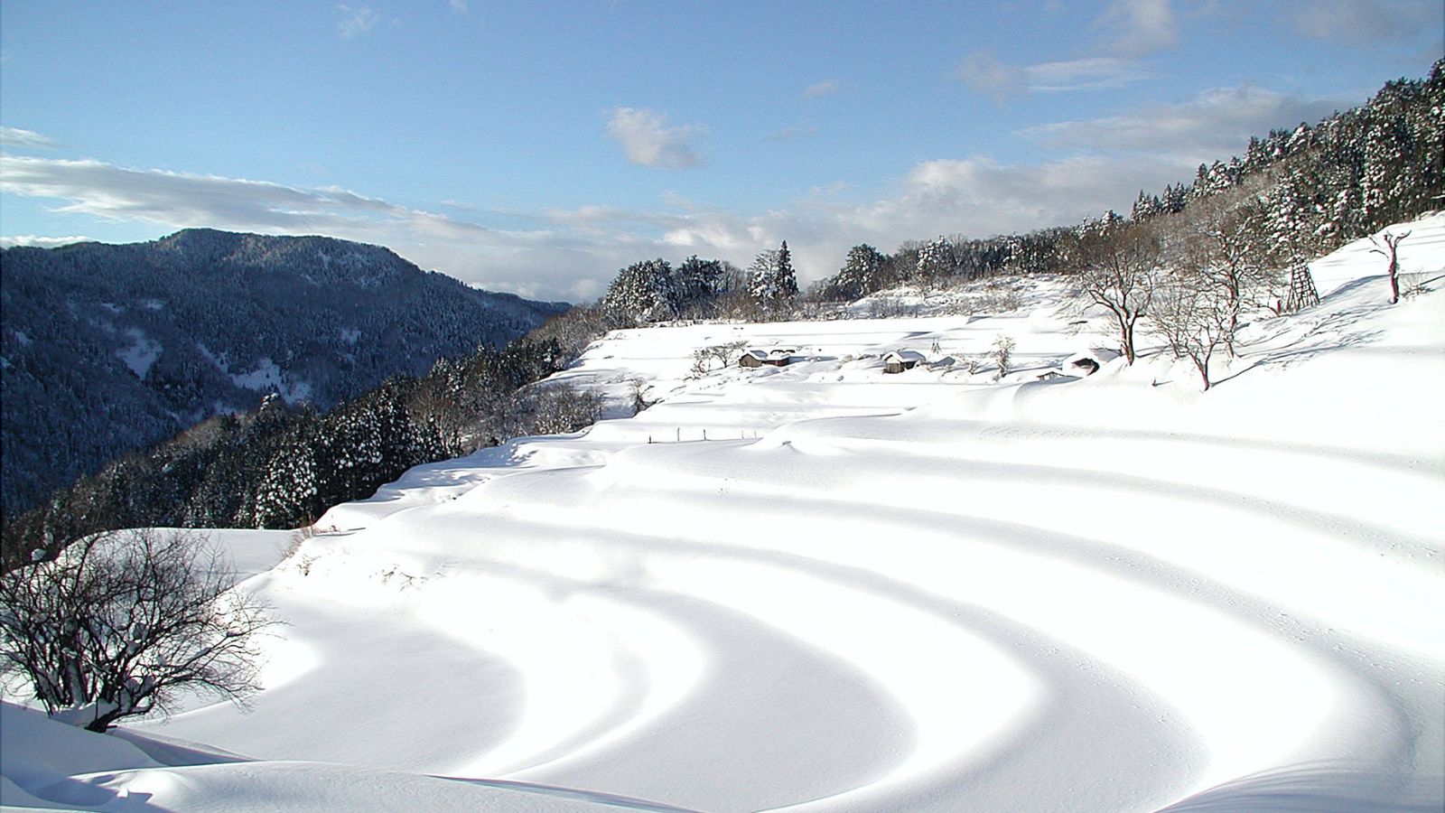 【和佐父・西ヶ岡棚田（雪）】雪化粧をまとった静寂に包まれた幻想的な棚田が広がります（お車で約45分）