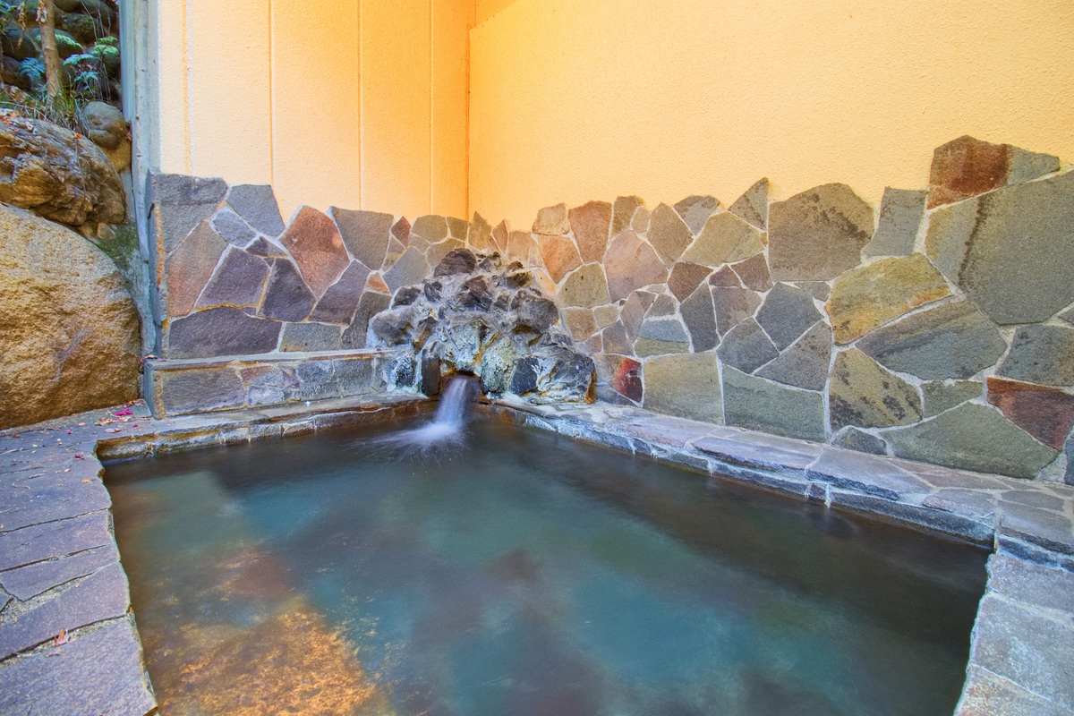【素泊り】鬼怒川温泉で過ごす癒しのひとときを。ビジネス利用にも◎《オールインクルーシブ》