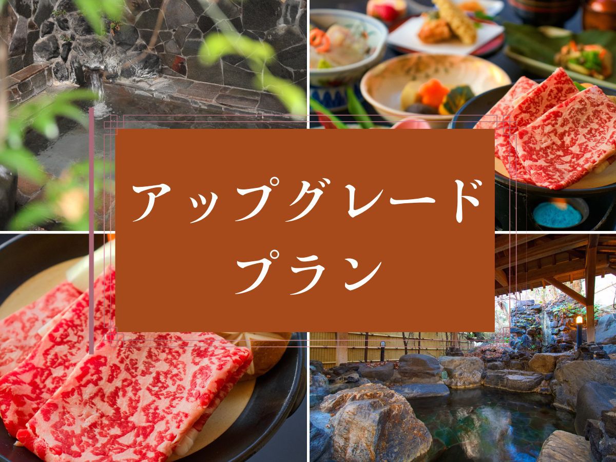 【栃木の誇り】贅沢を楽しむ◆グレードアップ〜栃木和牛の極上コース〜《個室食》