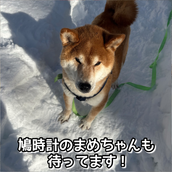 【素泊まりプラン】四季の自然に恵まれた米沢スキー場内！