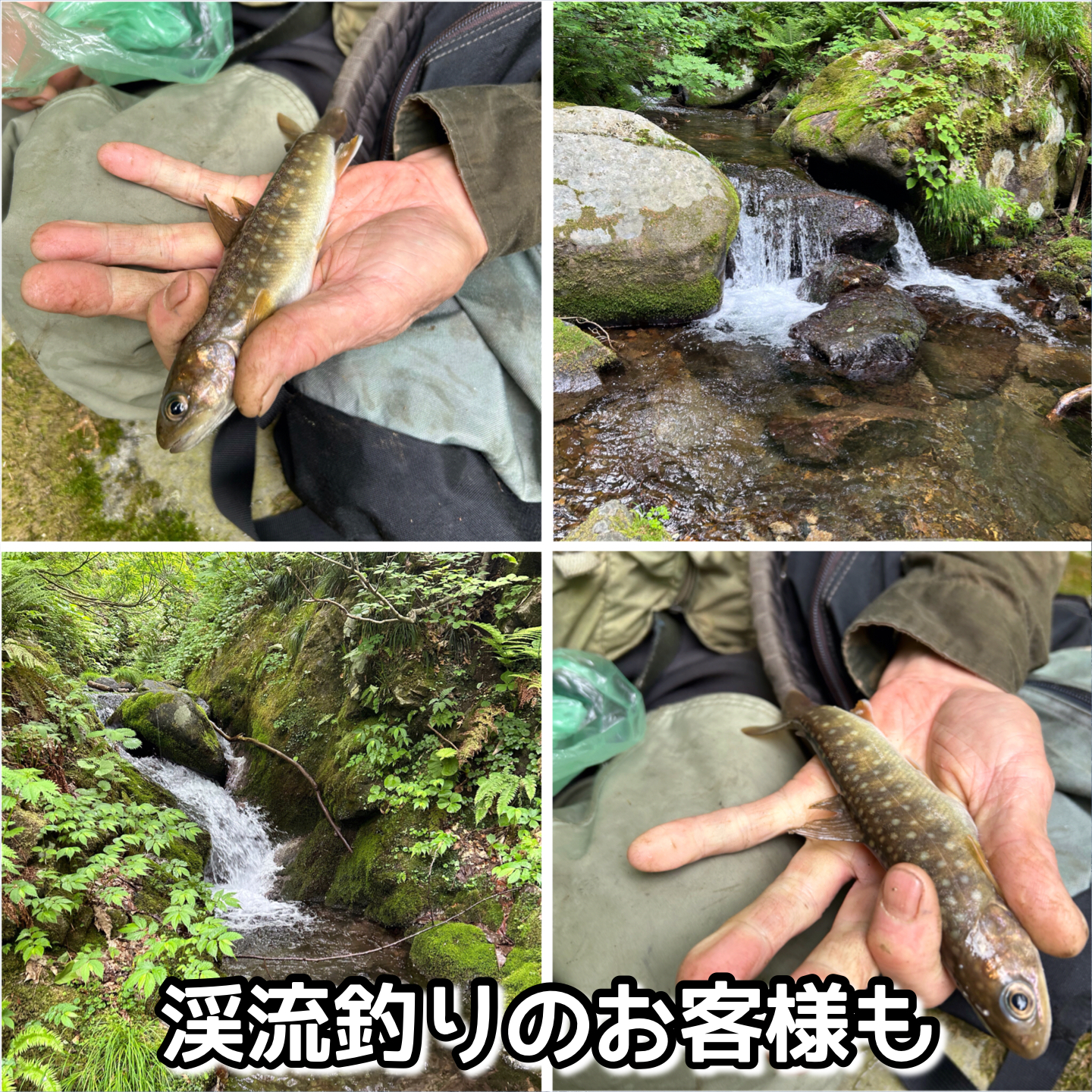 渓流釣りのお客様も