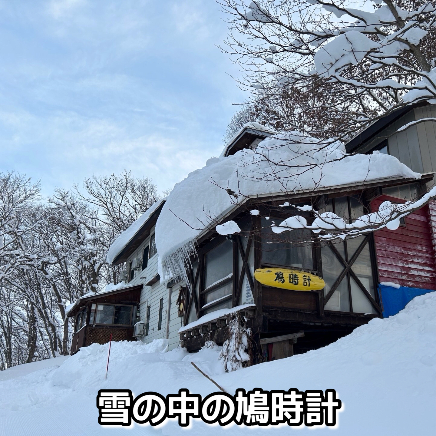 雪の中の鳩時計