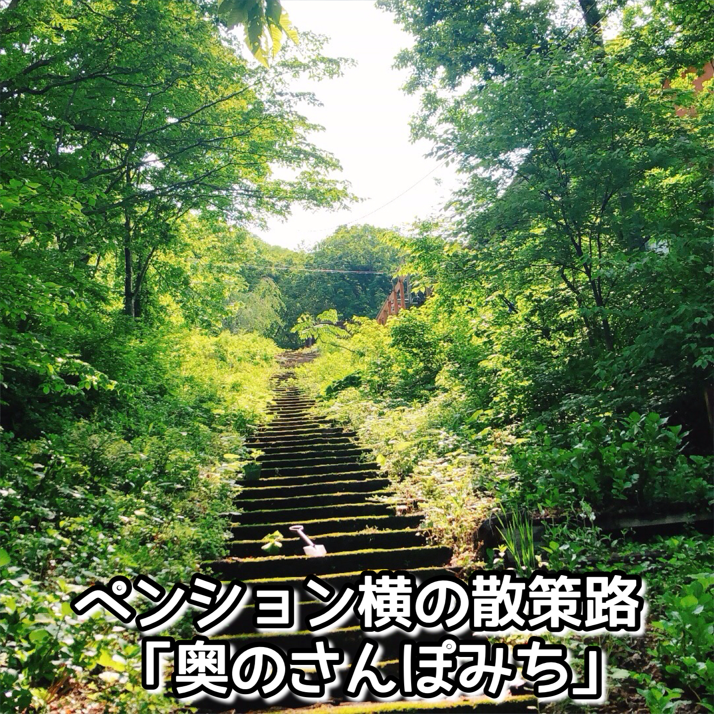 奥のさんぽみち