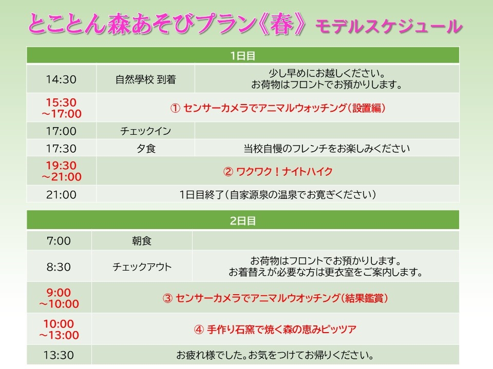 【春満喫♪】とことん森遊びプラン