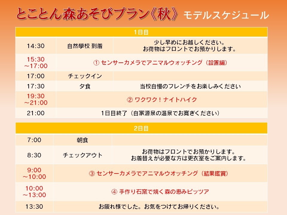 【秋限定】とことん森遊びプラン
