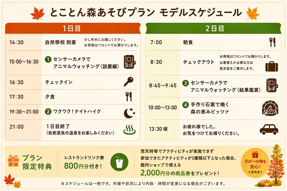 【秋限定】自然學校の人気アクティビティを追加料金なしで満喫！とことん森遊びプラン
