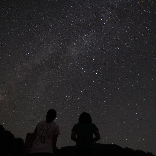 A starry sky full of falling sky