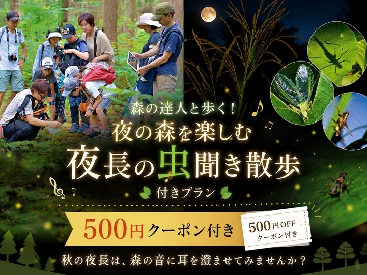 森の達人と歩く！夜の森を楽しむ「夜長の虫聞き散歩」付きプラン【500円クーポン付き】