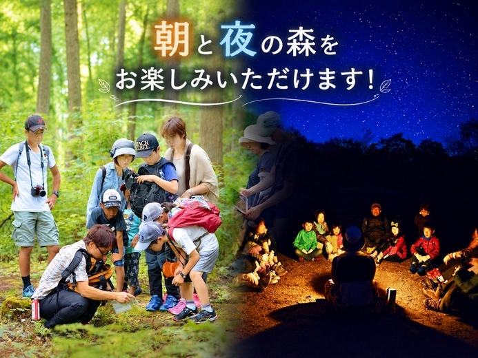 森の達人と歩く！夜の森を楽しむ「夜長の虫聞き散歩」付きプラン【500円クーポン付き】