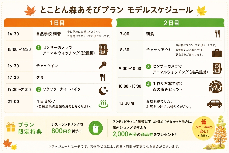 【秋限定】自然學校の人気アクティビティを追加料金なしで満喫！とことん森遊びプラン