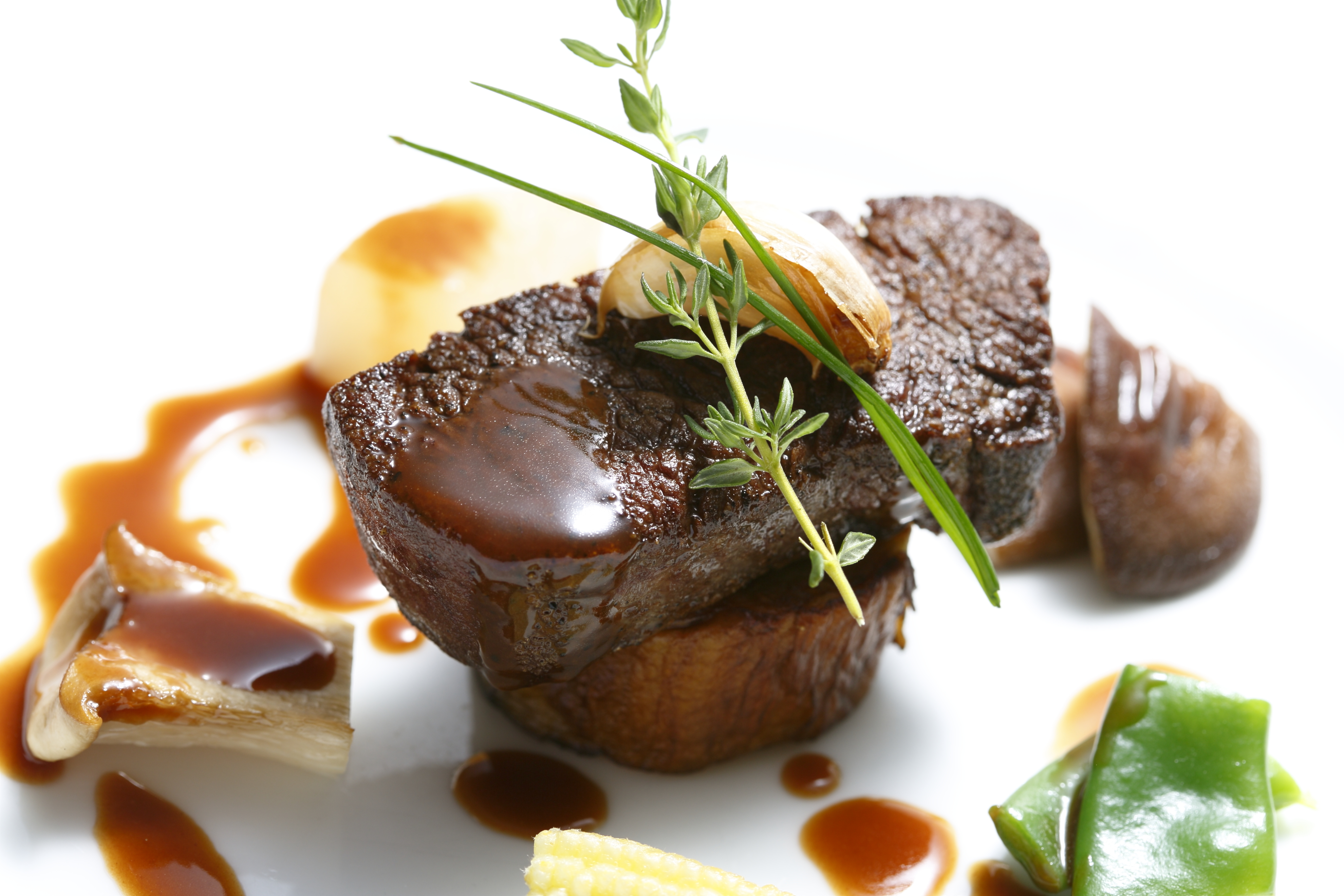 トヨタ白川郷自然学校 写真・動画【楽天トラベル】