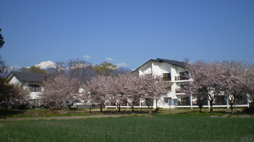 *【春】春は桜の木々に囲まれるビレッジ安曇野。周辺には色とりどりのお花が咲く季節。