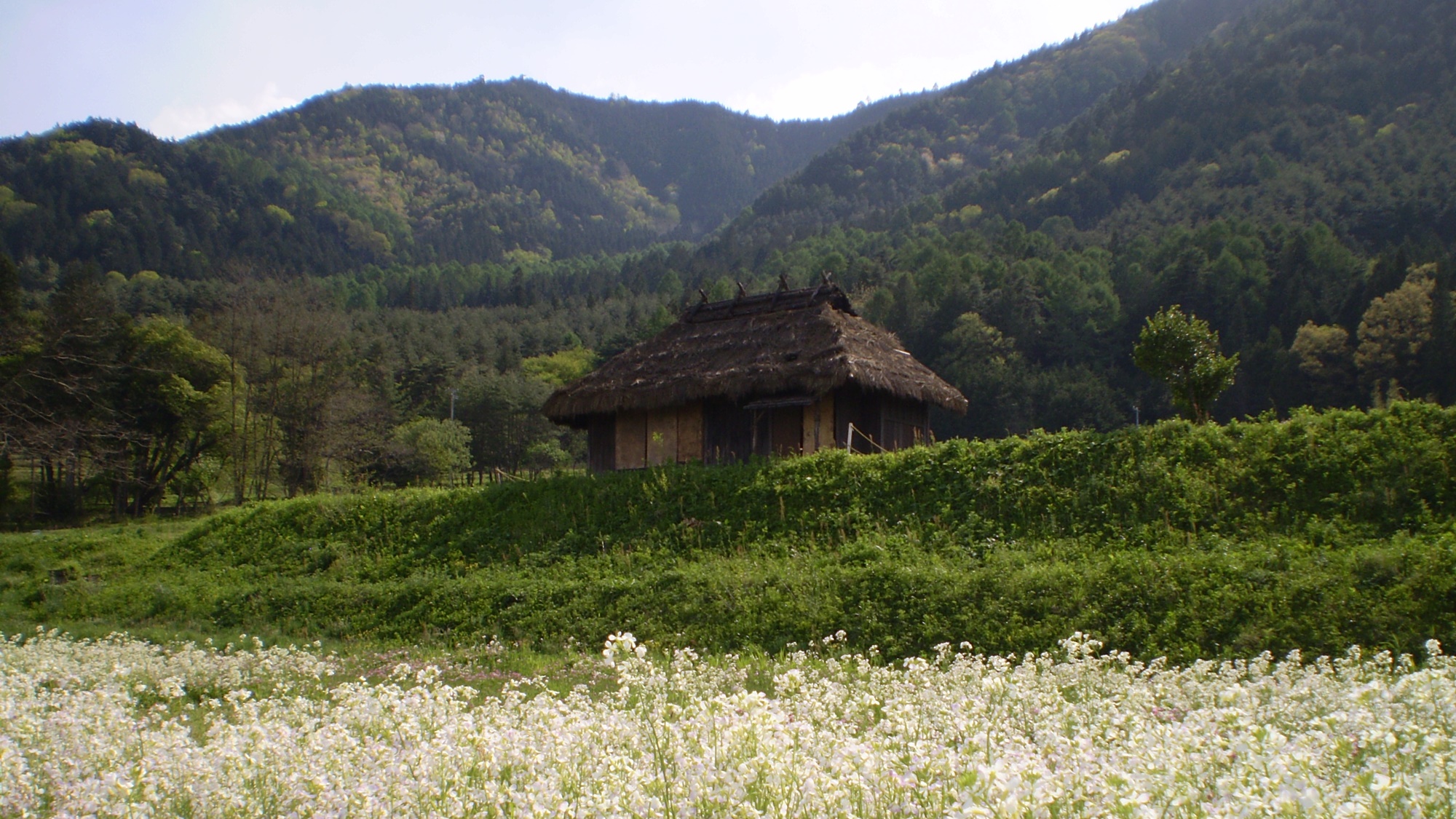 *ドラマ「おひさま」のロケ地になった、のどかな田園風景。当館周辺にございます♪