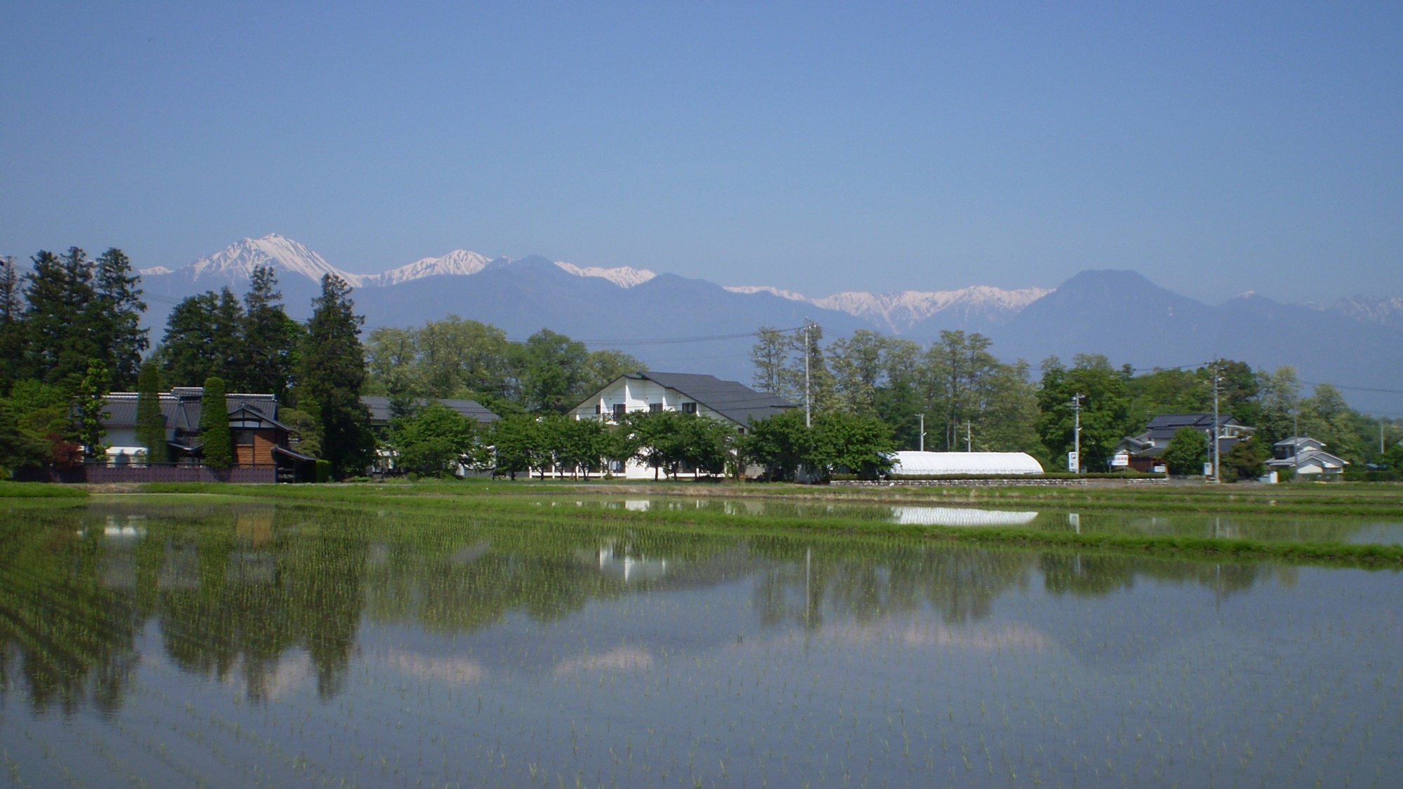 *【夏】新緑と瑞々しい田園風景が広がる夏。常念岳のてっぺんには残雪の姿も。