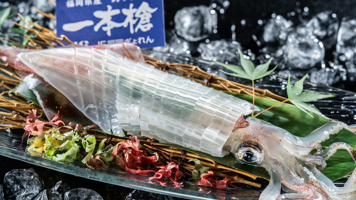 【特別会席】＜1日30食限定＞福岡の海で釣り上げられた活きヤリイカ『一本槍』の姿造り