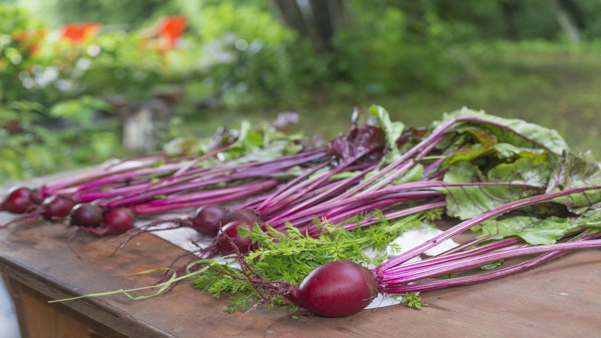 【7/1～】地元野菜や厳選食材を使った出来立ての料理を、お好きなだけお楽しみください