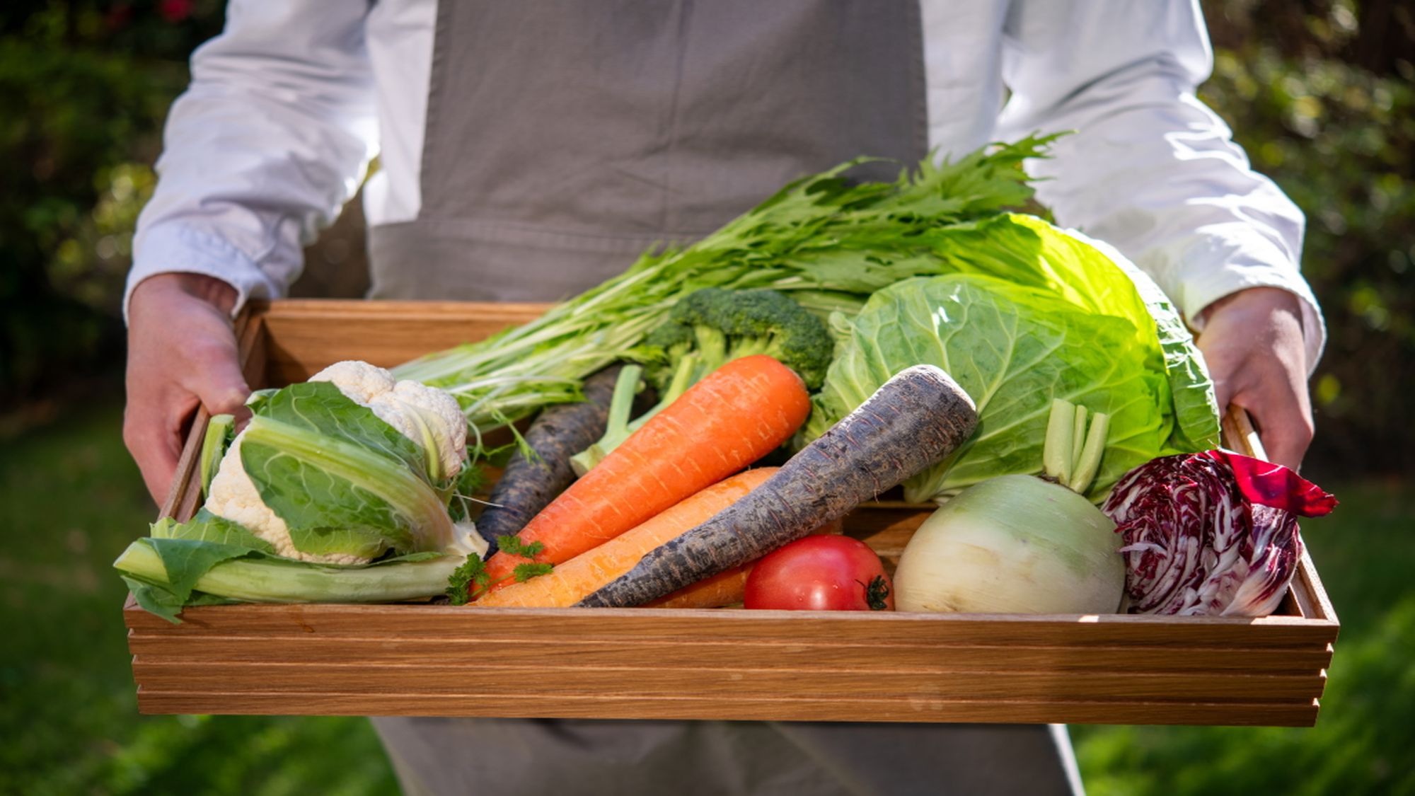 【7/1～】地元野菜や厳選食材を使った出来立ての料理を、お好きなだけお楽しみください