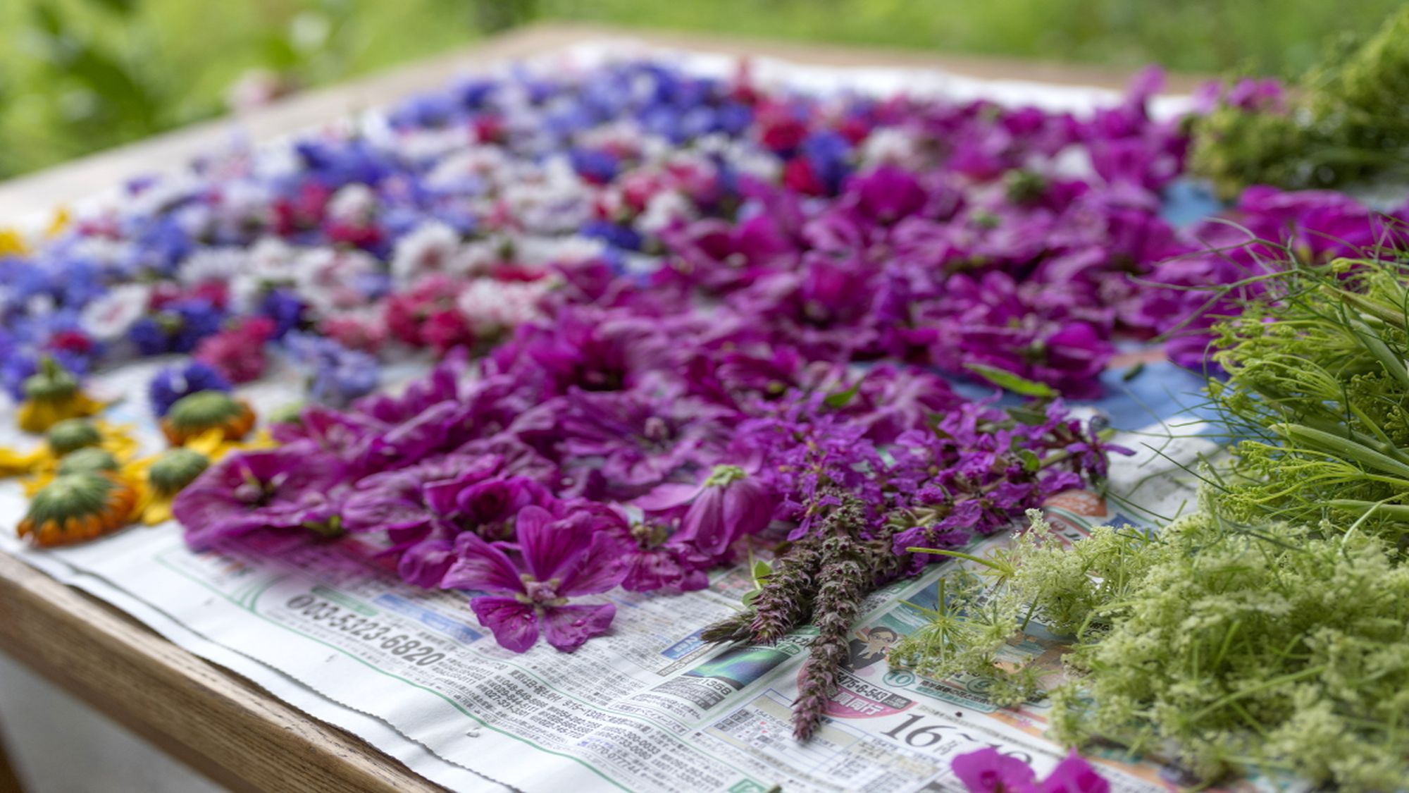 【7/1～】地元野菜や厳選食材を使った出来立ての料理を、お好きなだけお楽しみください