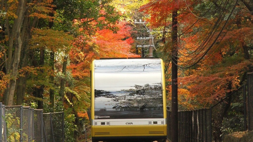 【秋の皿倉山】紅葉シーズンは特におすすめ！