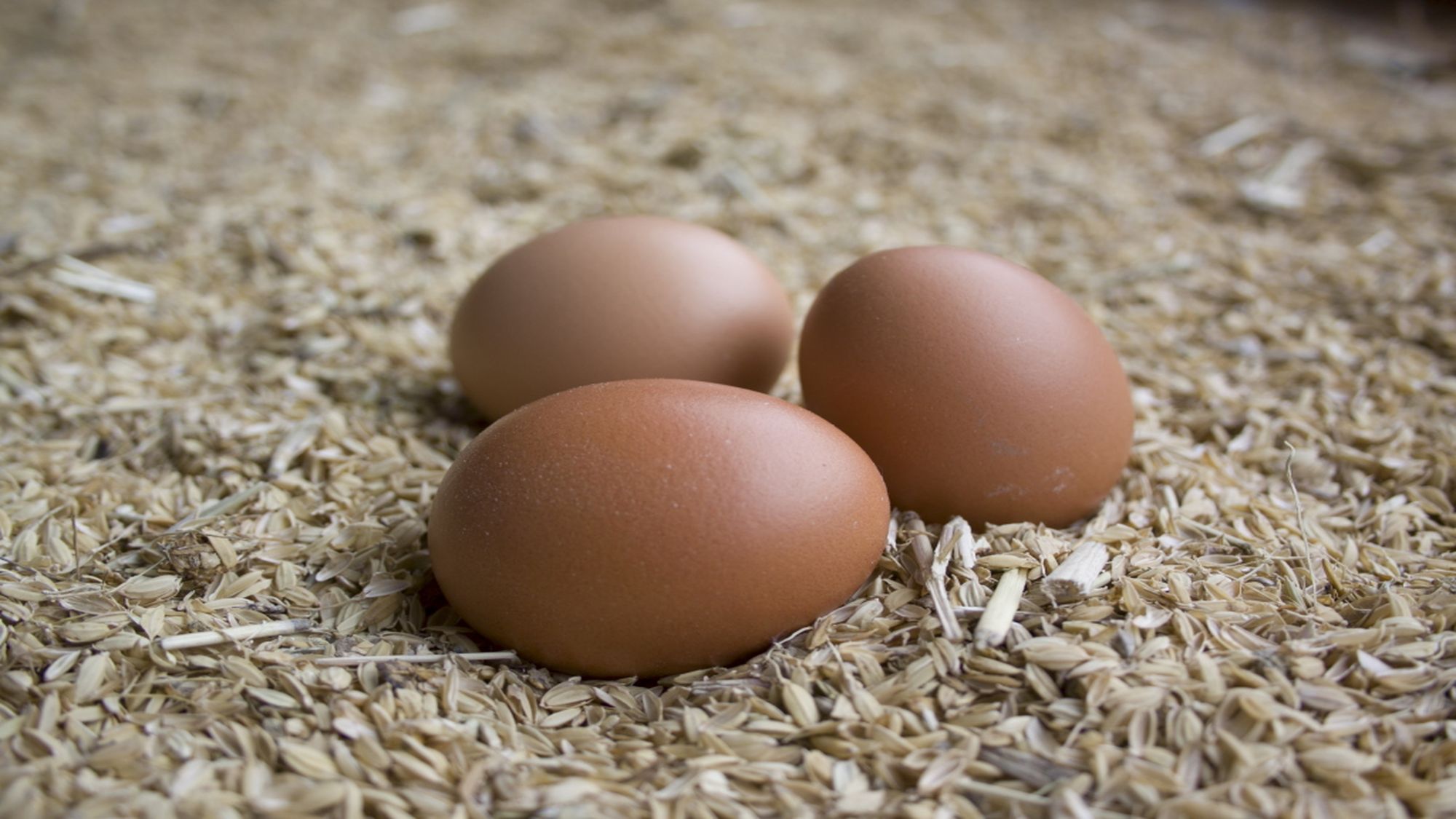 【7/1～】地元野菜や厳選食材を使った出来立ての料理を、お好きなだけお楽しみください