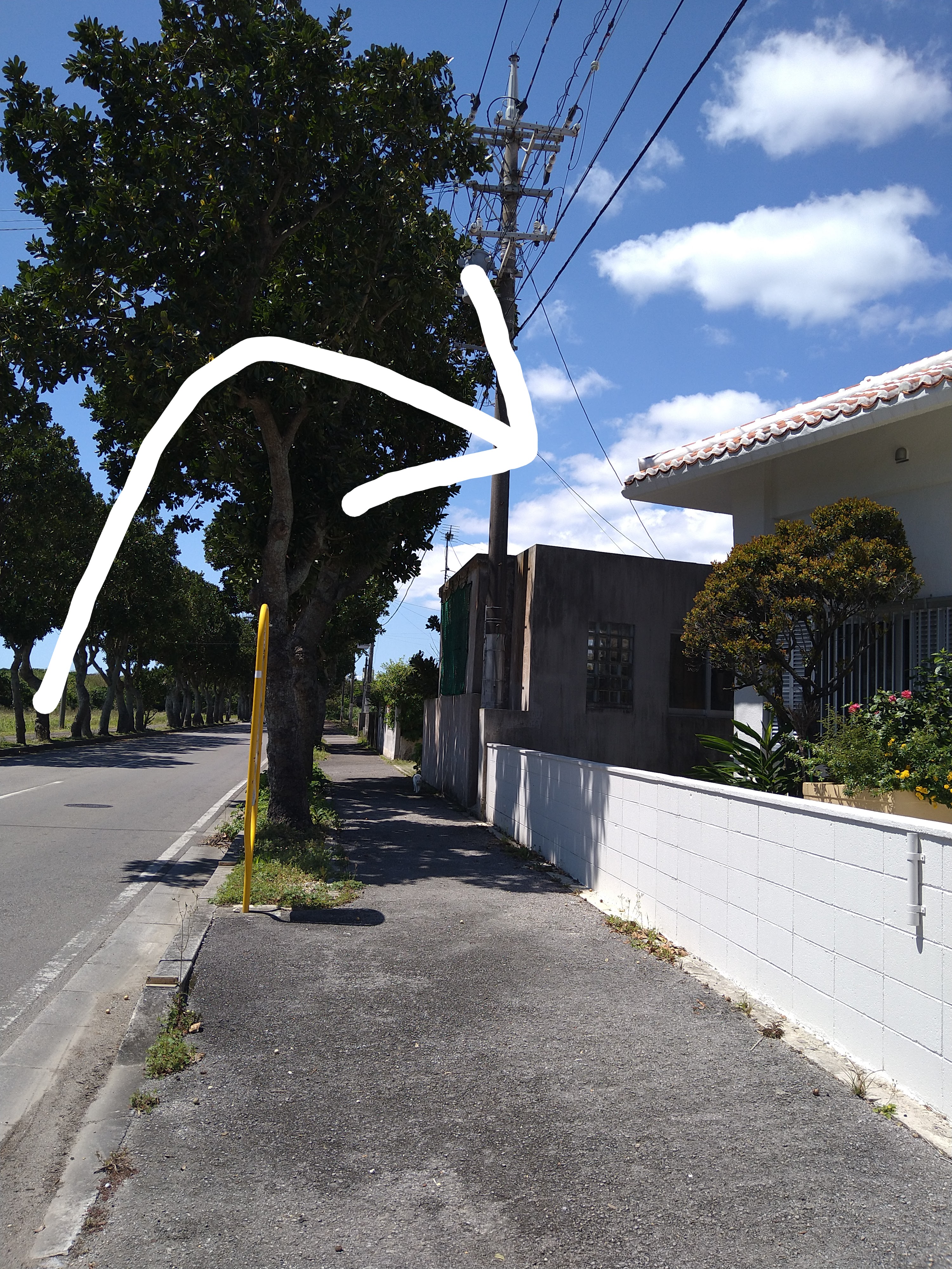 バス停を降り空港と逆方向に歩く