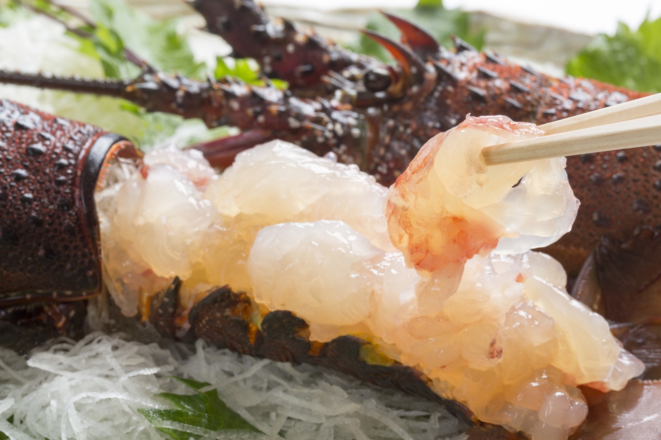 【1泊2食付き】【期間限定】伊勢海老三昧コース！日向灘で獲れた伊勢えびはぷりっぷりです！