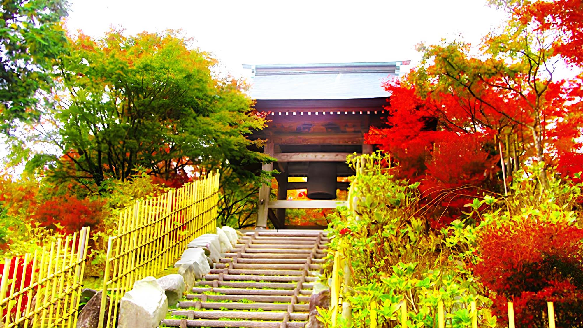 四季折々の自然と静寂に包まれる呑山観音寺。